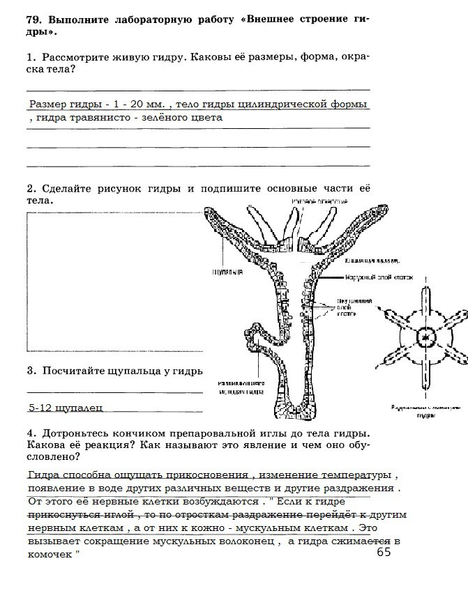 Kraken ссылка зеркало официальный сайт