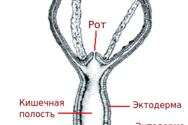 Кракен сайт kraken2